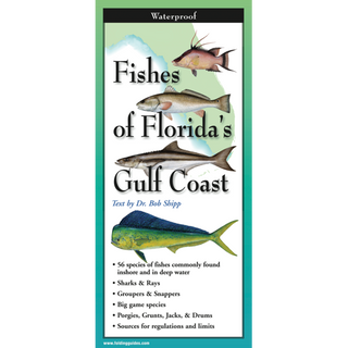 Fishes of Florida's Gulf Coast image 0