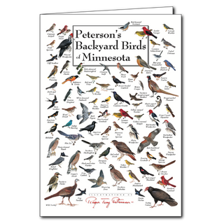 Peterson's Backyard Birds of Minnesota - Poster Card image 0