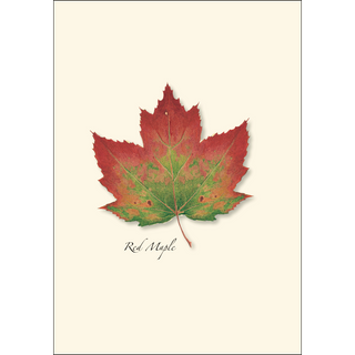 Maple Leaf Assortment image 2