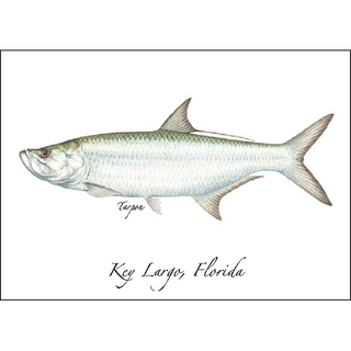 Tarpon image 0