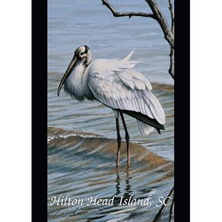 Wood Stork image 0