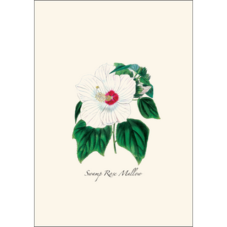 Woodland Wildflower Assortment image 4