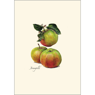 Heirloom Apple Assortment image 4