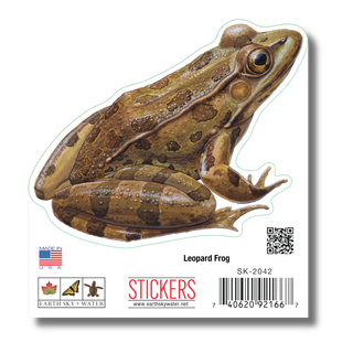 Leopard Frog image 1