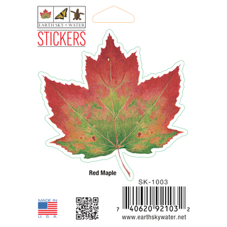 Red Maple image 0
