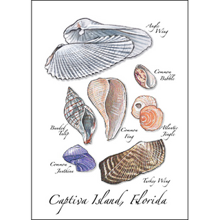 Angel Wing Assortment image 0