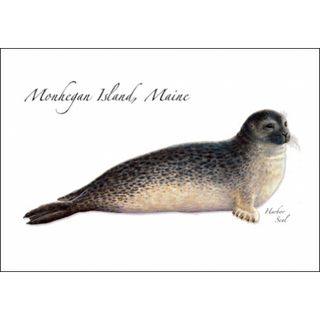 Harbor Seal image 0