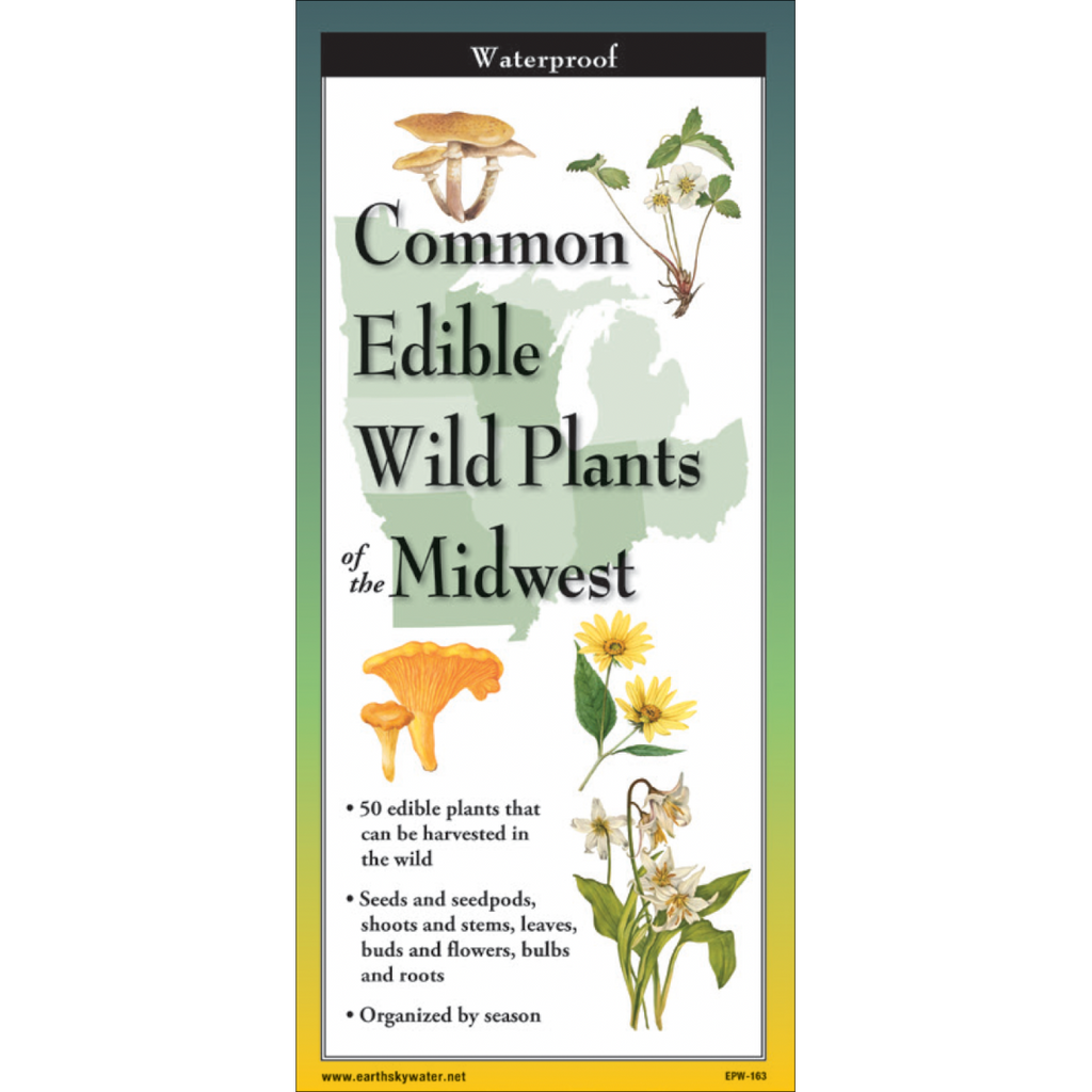 edible plants seeds FoldingGuides™