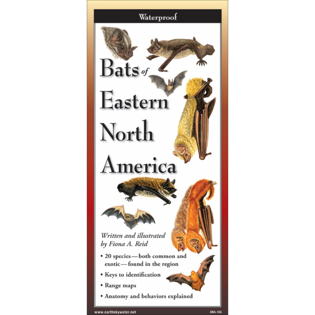 FoldingGuides™ - Bats of Eastern North America FoldingGuides™ – Earth ...