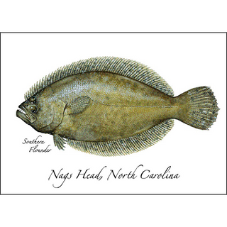 Southern Flounder image 0