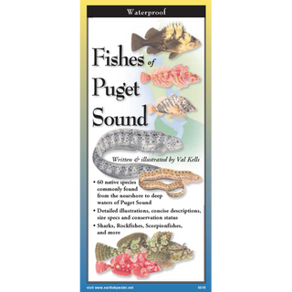 Fishes of Puget Sound image 0