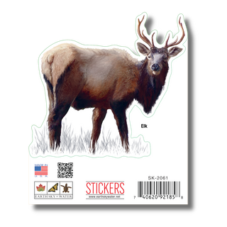 Elk image 1