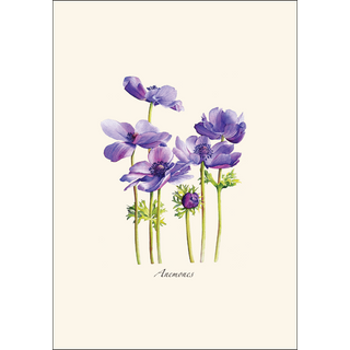 Anemones image 1