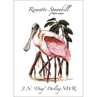 Roseate Spoonbill image 0