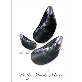 Three Blue Mussels image 0