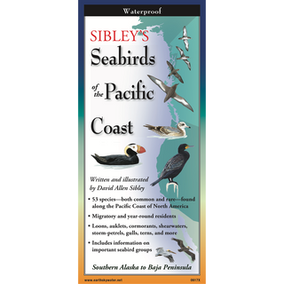 Sibley's Seabirds of the Pacific Coast image 0