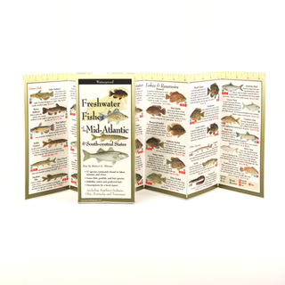 Freshwater Fishes of the Mid-Atlantic image 1