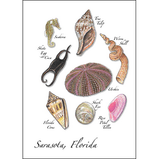 Urchin Assortment image 0