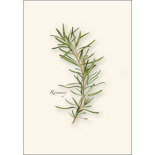 Herb Assortment image 4