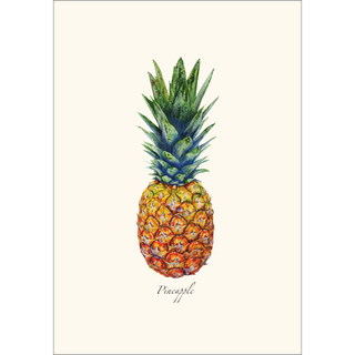 Pineapple -NEW- image 1