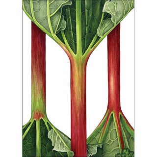 Rhubarb<br>(Namedrop unavailable) image 0