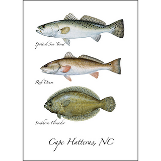 Atlantic Favorite image 0