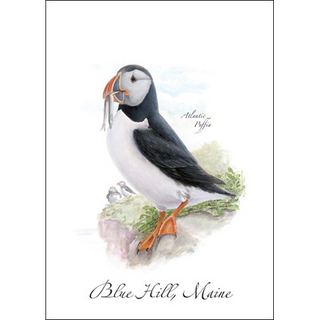 Puffin image 0