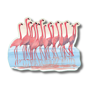 Flamingoes image 0