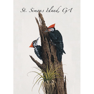 Pileated Woodpecker image 0