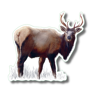 Elk image 0