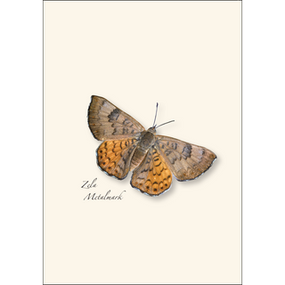Western Butterfly Assortment II image 4
