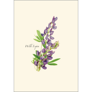 Wildflower Assortment image 2
