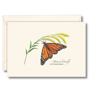 Monarch Butterfly on Goldenrod image 0