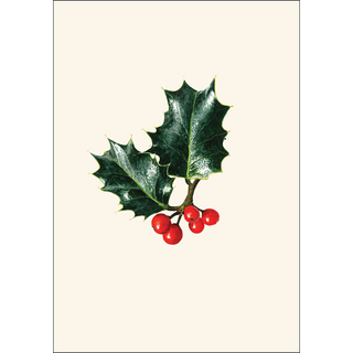 English Holly image 1
