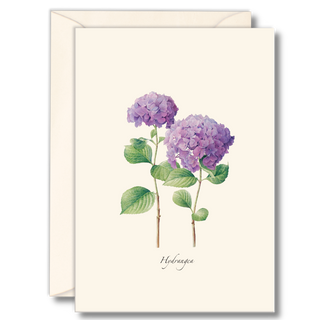 Hydrangea II image 0
