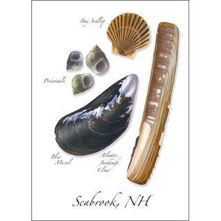 North Atlantic Shellfish image 0