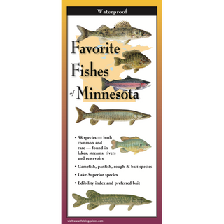 Favorite Fishes of Minnesota image 0