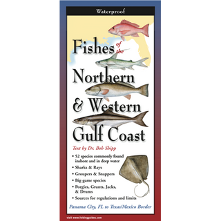 Fishes of the Northern & Western Gulf Coast image 0