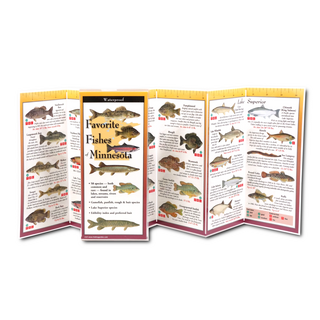 Favorite Fishes of Minnesota image 1