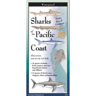 Sharks, Skates, Rays & Chimaera of the Pacific Coast image 0