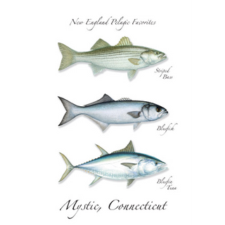 New England Favorites image 0