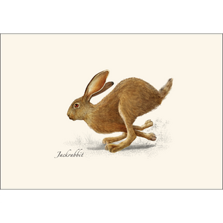 Small Mammal Assortment image 4