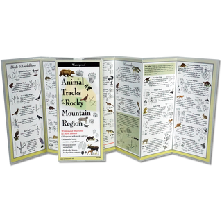 Animal Tracks of the Rocky Mountain Region image 1