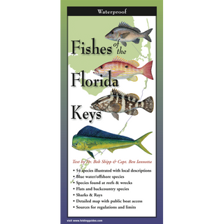 Fishes of the Florida Keys image 0