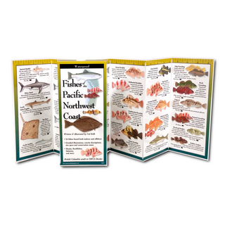 Fishes of the Pacific Northwest Coast image 1