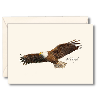 Bald Eagle image 0