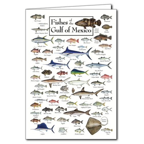 Greeting Cards - Fishes of the Gulf of Mexico - Poster Card – Earth Sky ...