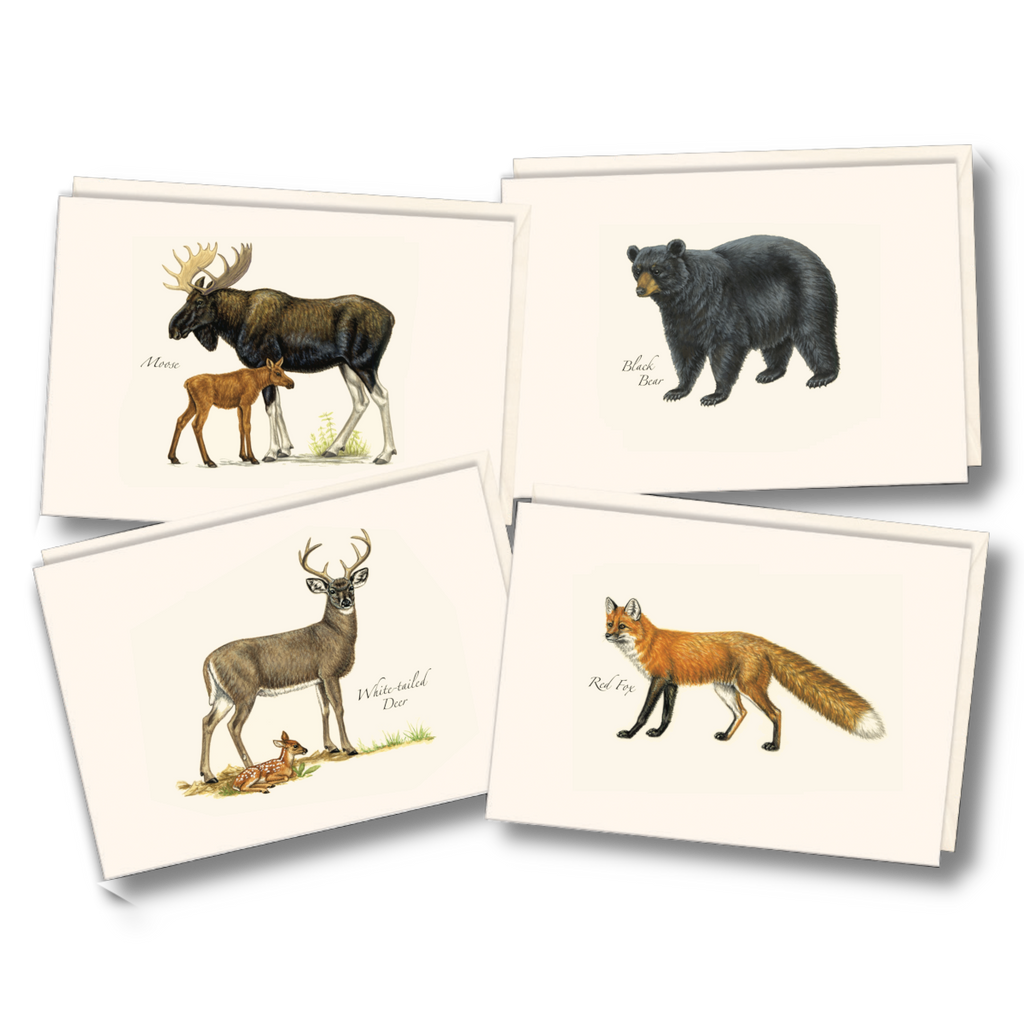 Notecards - Mammal Assortment – Earth Sky + Water