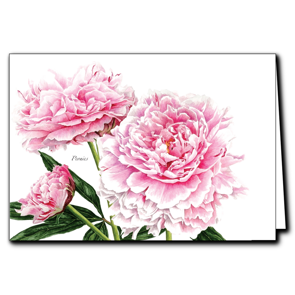 Greeting Cards - Pink Peonies – Earth Sky + Water