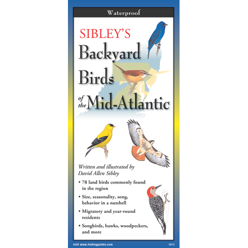 FoldingGuides™ - Sibley's Backyard Birds of the Mid-Atlantic – Earth ...